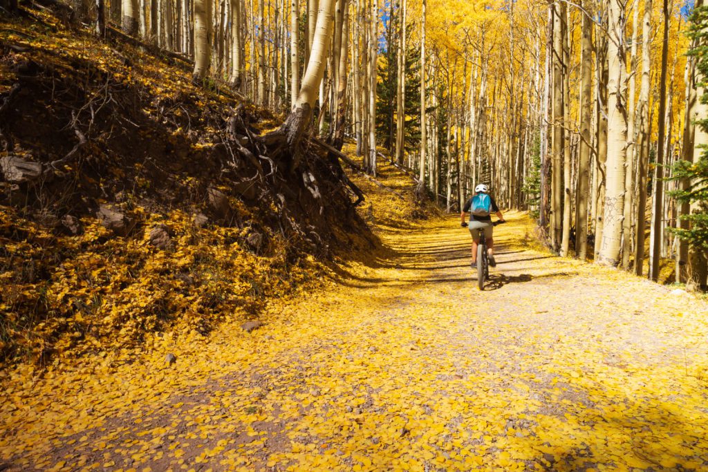 Mountain biker enjoying the awsome autumn weather